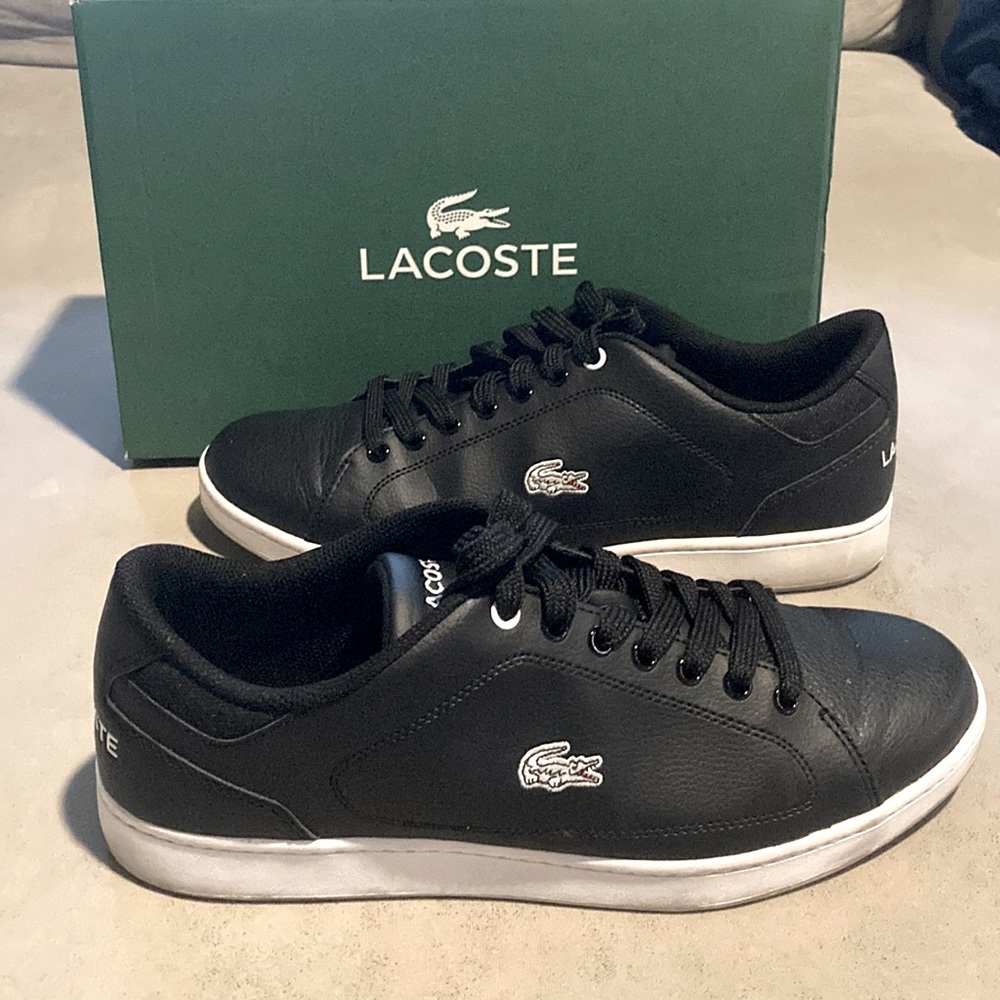Mens Lacoste sneakers